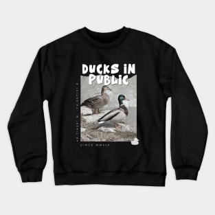 Ducks In Public. Crewneck Sweatshirt